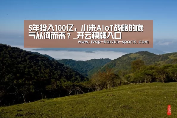 5年投入100亿,小米AIoT战略的底气从何而来?_开云棋牌入口(图1) 开云棋牌官网